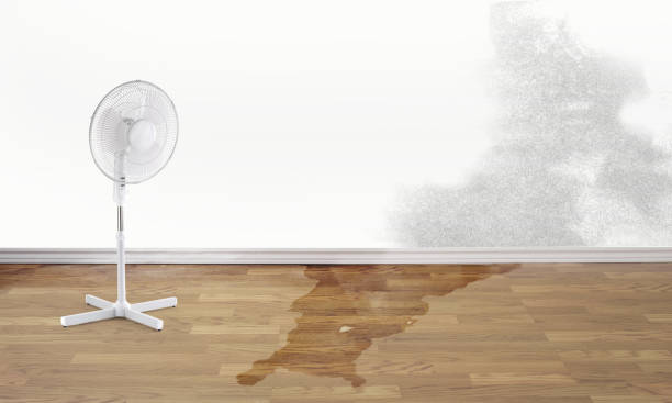 Water damage restoration mold remediation in MN