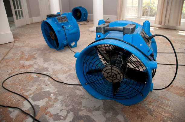 Best Fire Damage Restoration  in Cloquet, MN